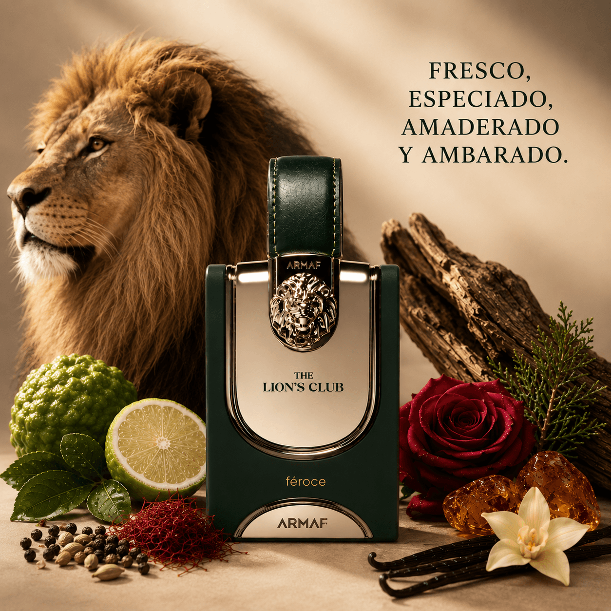ARMAF THE LION´S CLUB 100ml-Fragancia Masculina Aromática