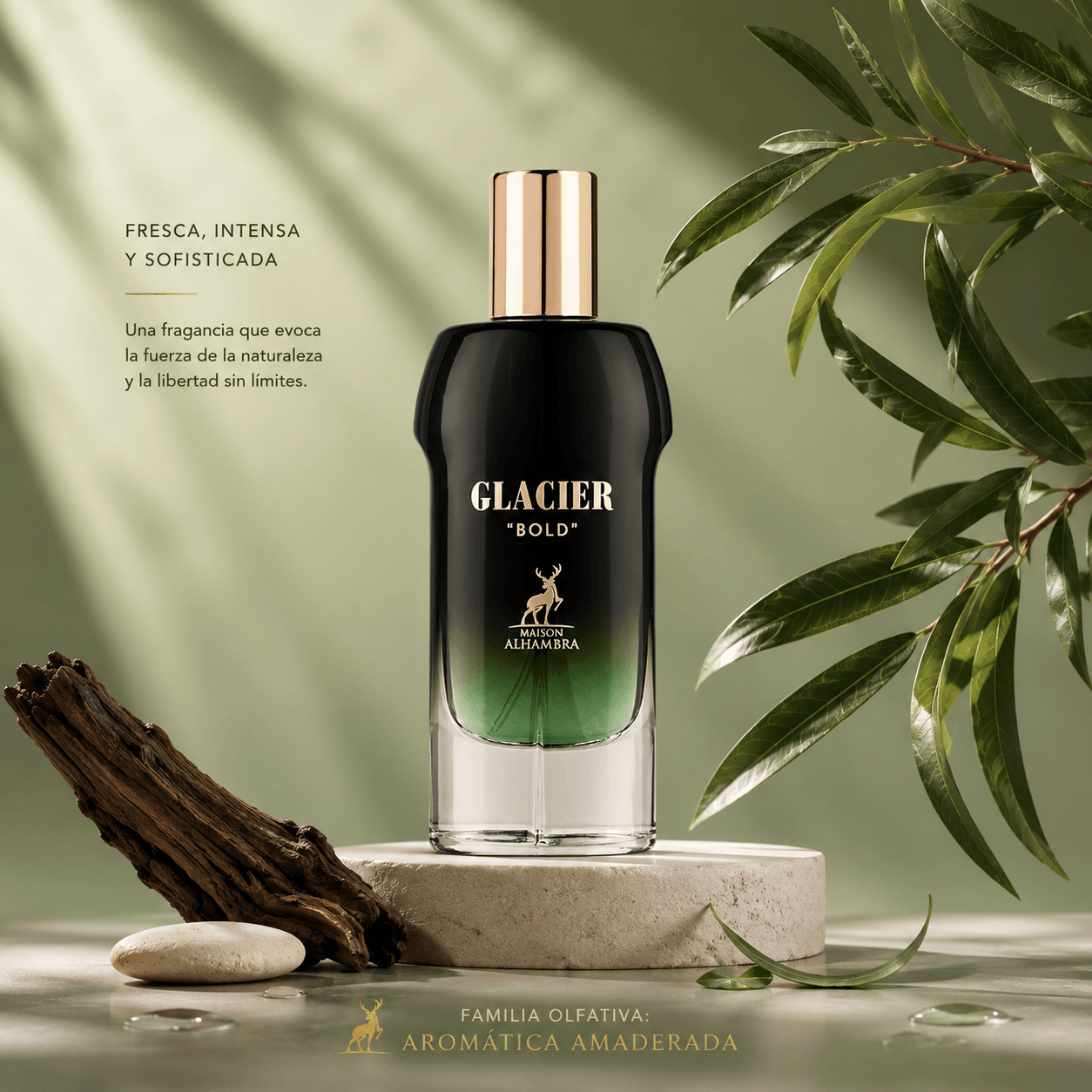 GLACIER BOLD MAISON ALHAMBRA 100 ml-Fragancia masculina Aromatica